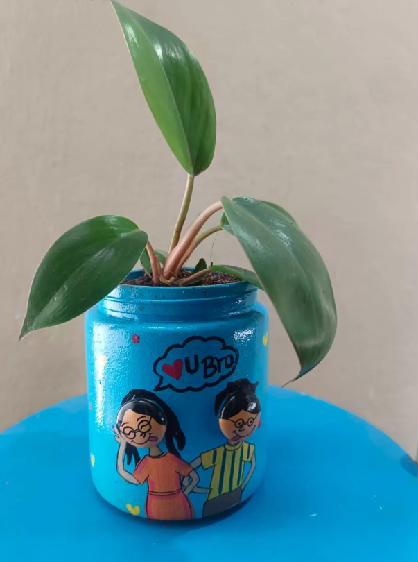 Beautiful Plants in Upcycled Containers